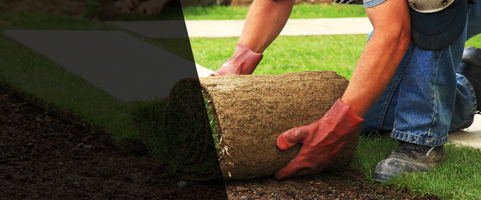 Sauk City Landscapers